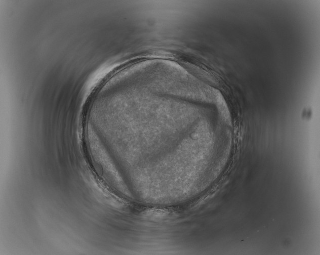 X0000114650294200911101327