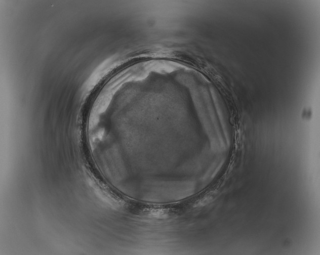 X0000114650295200911101327