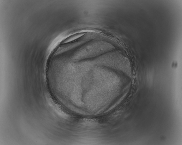 X0000114650296200911101327