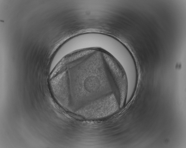 X0000114650297200911101327