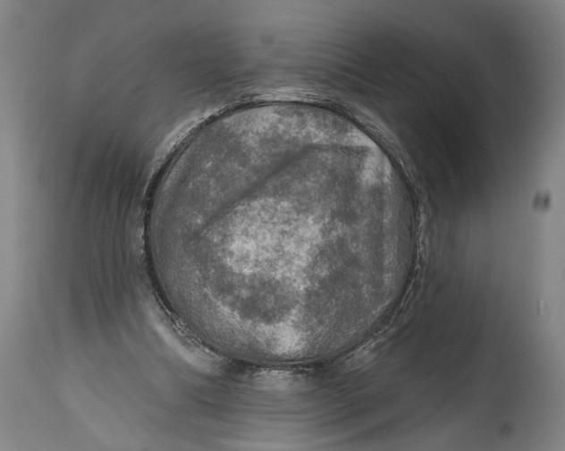 X0000114650298200911101327