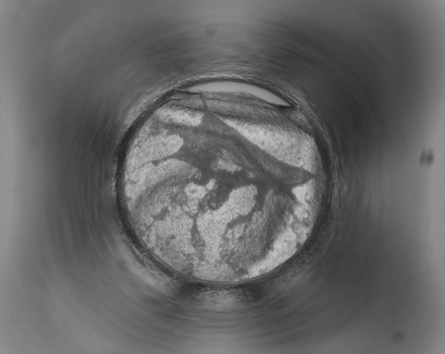 X0000114650299200911101327