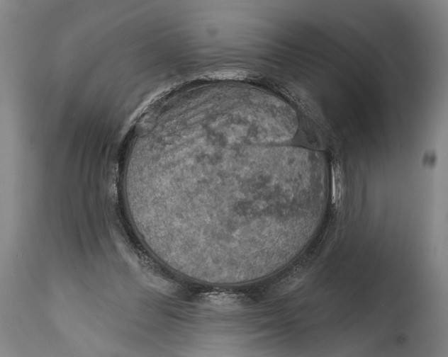 X0000114650300200911101327