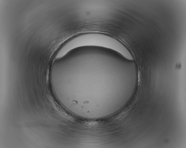 X0000114650301200911101326