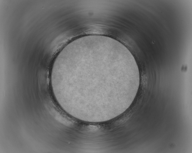 X0000114650302200911101326