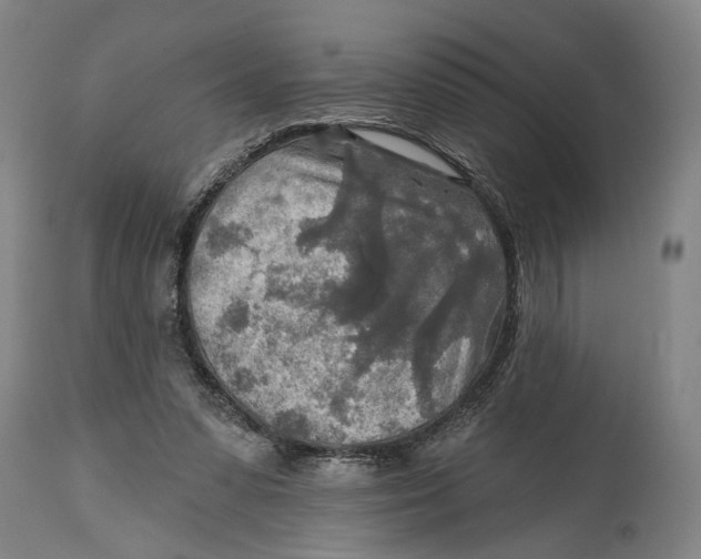 X0000114650303200911101326