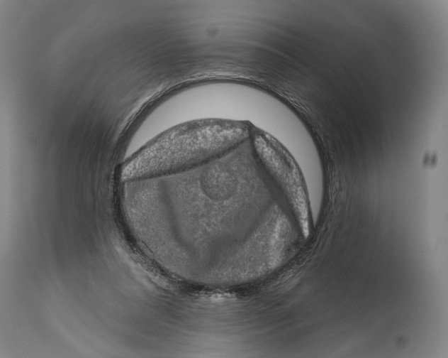 X0000114650304200911101326