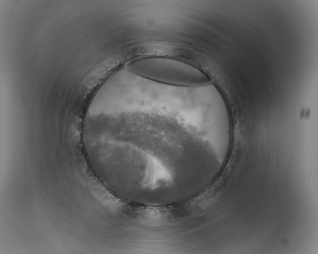 X0000114650305200911101326