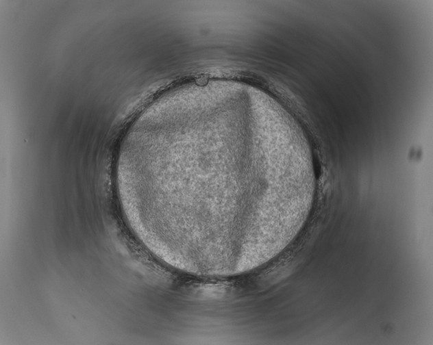 X0000114650306200911101326