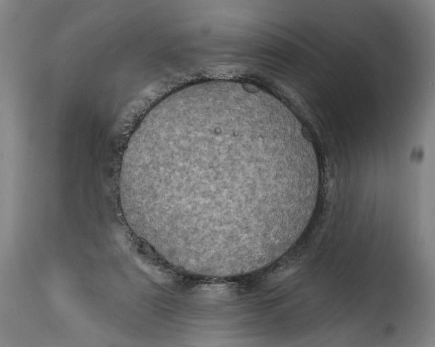 X0000114650307200911101326