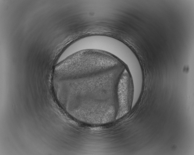 X0000114650309200911101326