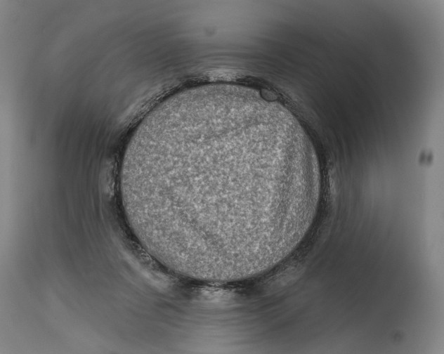 X0000114650311200911101326