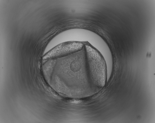 X0000114650313200911101326