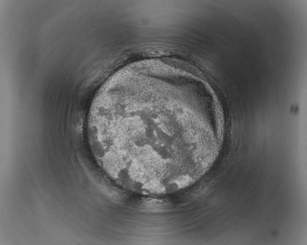 X0000114650315200911101326