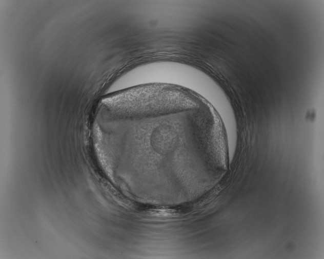 X0000114650316200911101326