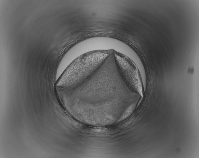 X0000114650317200911101326