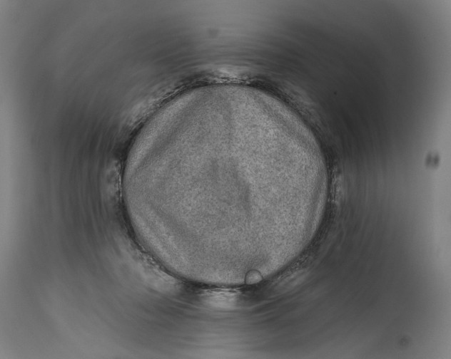 X0000114650318200911101326