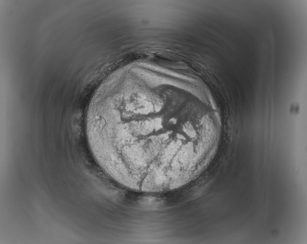 X0000114650319200911101326