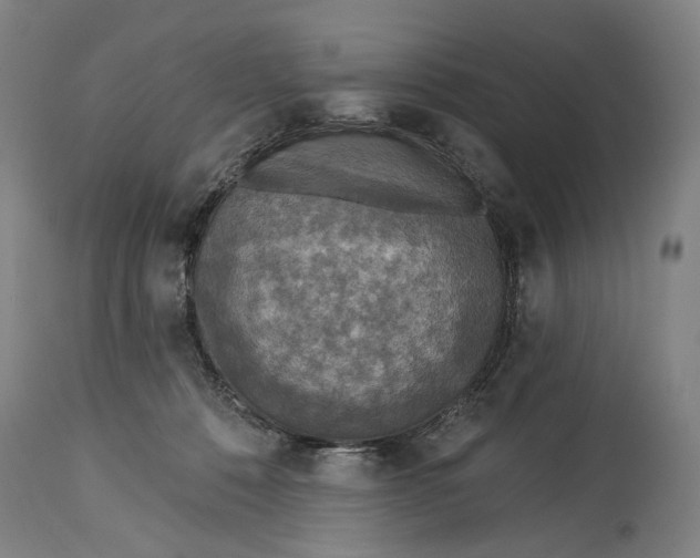 X0000114650320200911101326