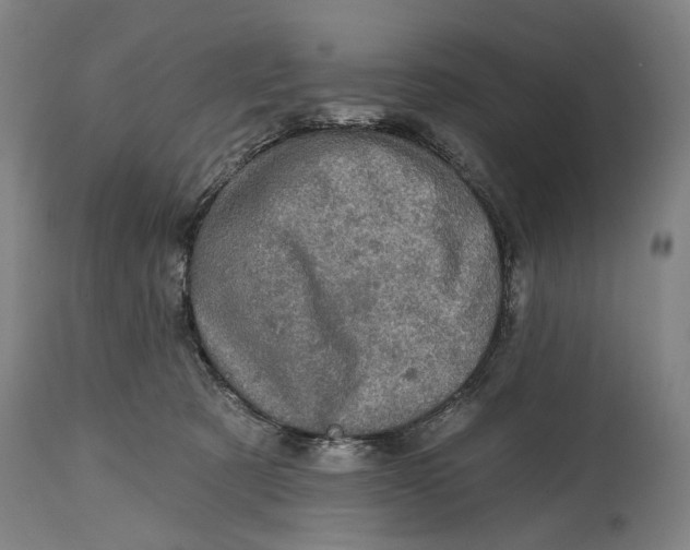 X0000114650321200911101326