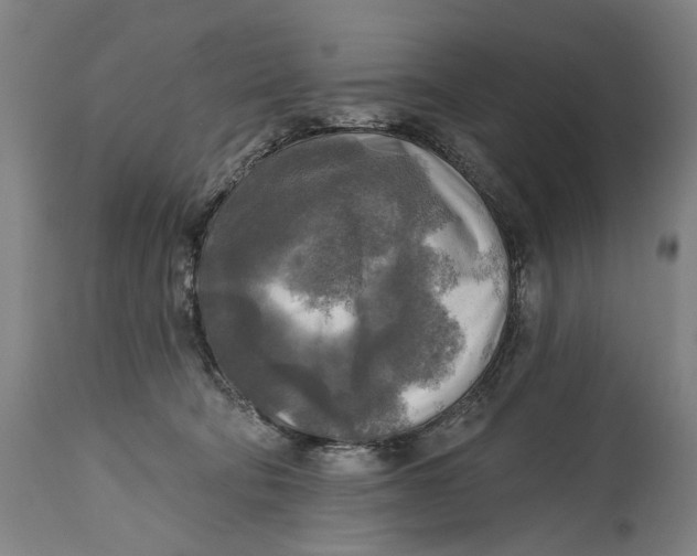 X0000114650322200911101326