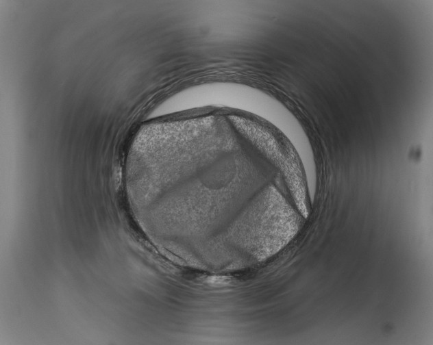 X0000114650324200911101326