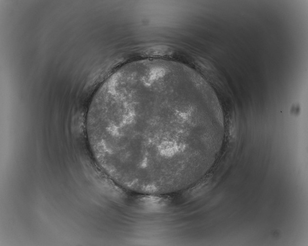 X0000114650326200911101326