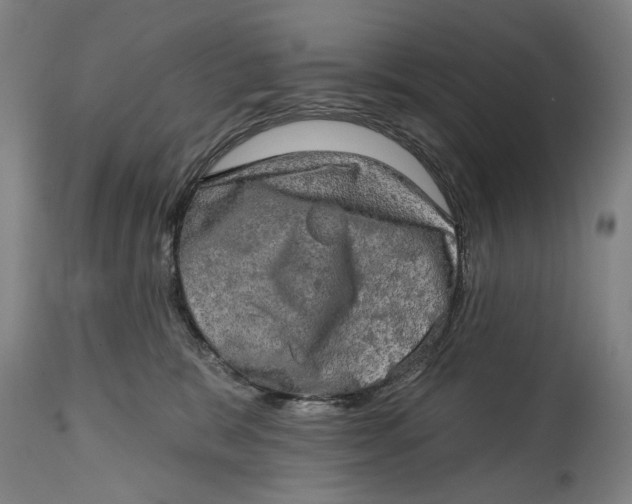 X0000114650327200911101326