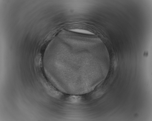 X0000114650328200911101326