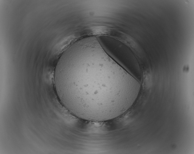 X0000114650329200911101326