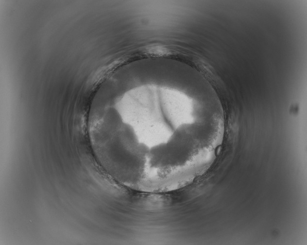 X0000114650330200911101326