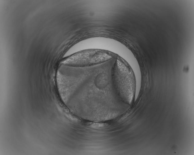 X0000114650332200911101326