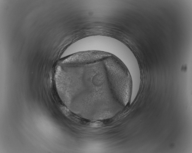 X0000114650333200911101326