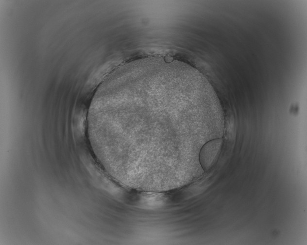 X0000114650334200911101326