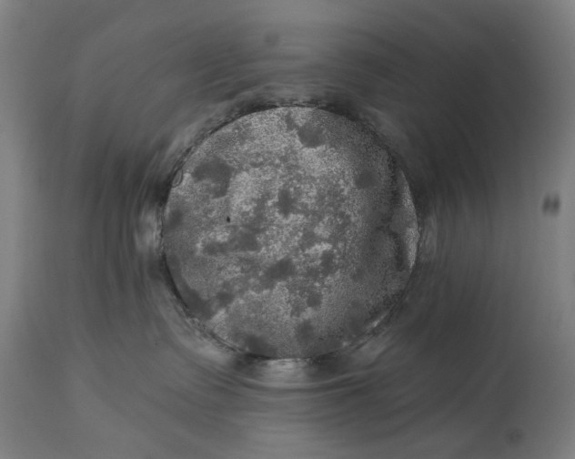 X0000114650335200911101326