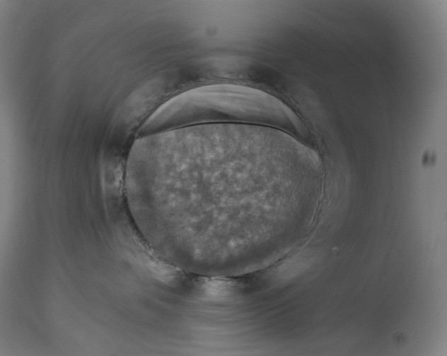 X0000114650336200911101326