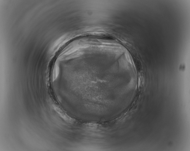 X0000114650339200911101325