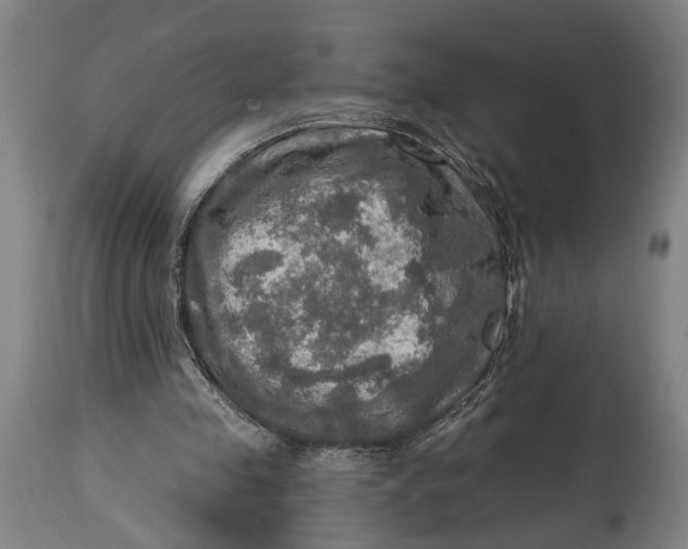 X0000114650341200911101325