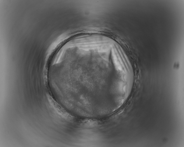 X0000114650343200911101325