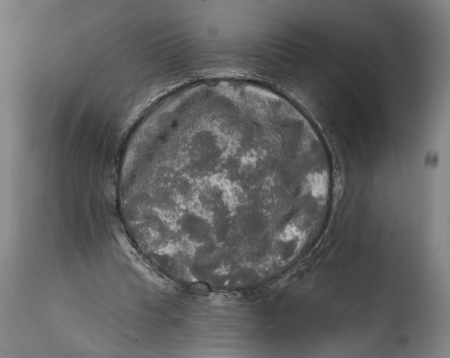 X0000114650345200911101325