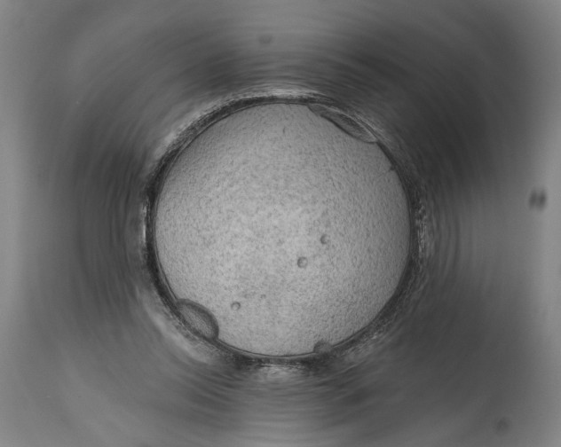 X0000114650350200911101326