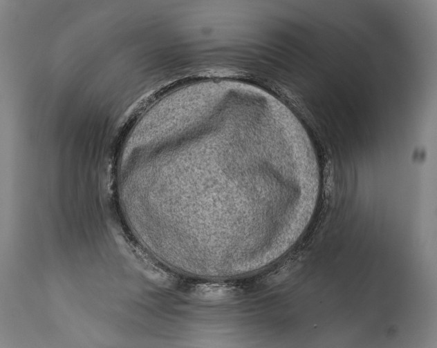 X0000114650351200911101326