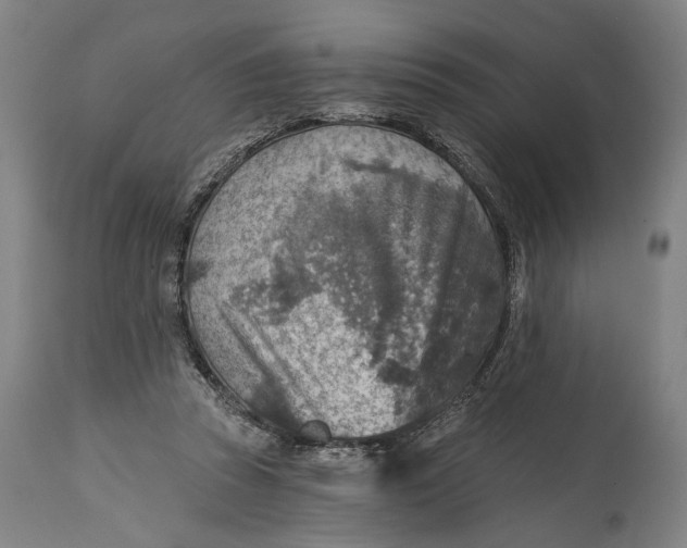 X0000114650353200911101326