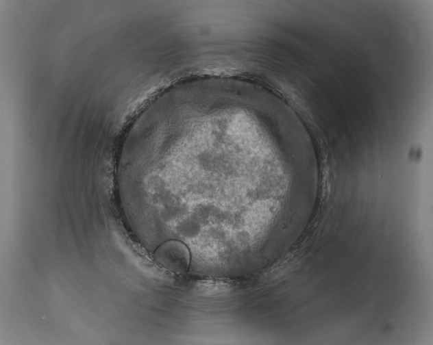 X0000114650354200911101326