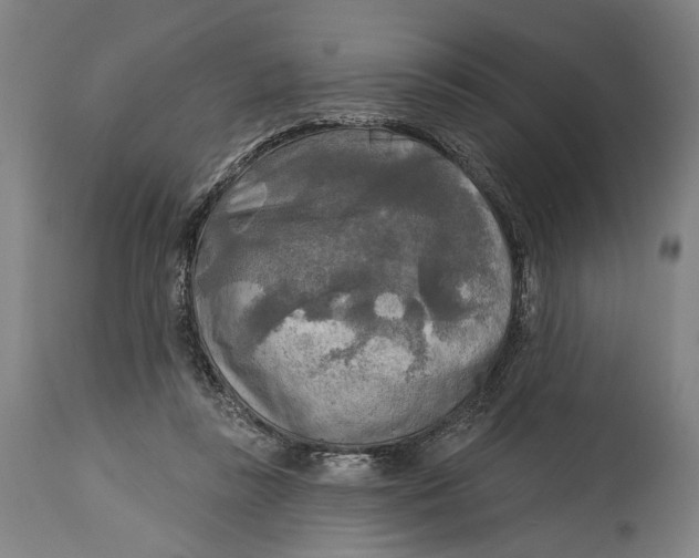 X0000114650355200911101326