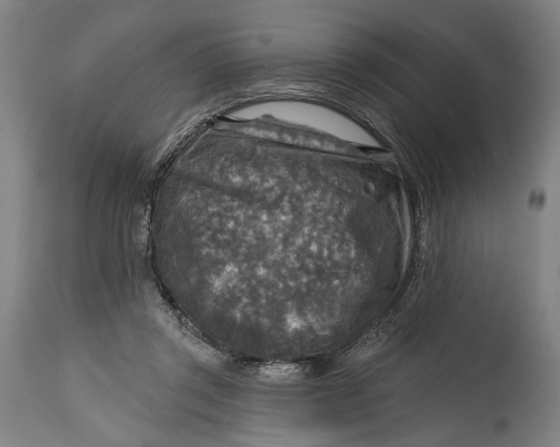 X0000114650357200911101326