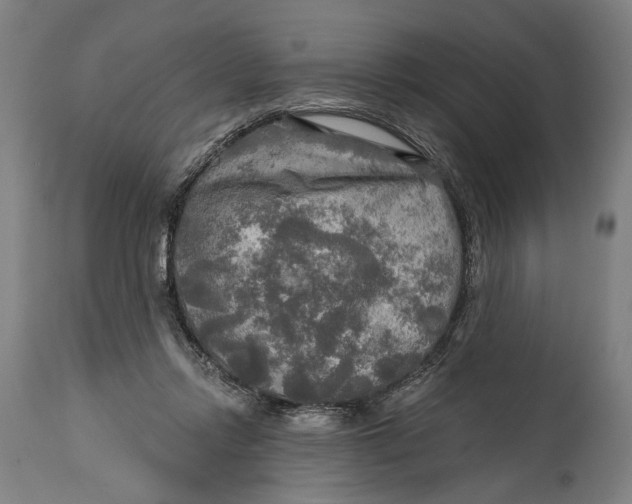 X0000114650358200911101326