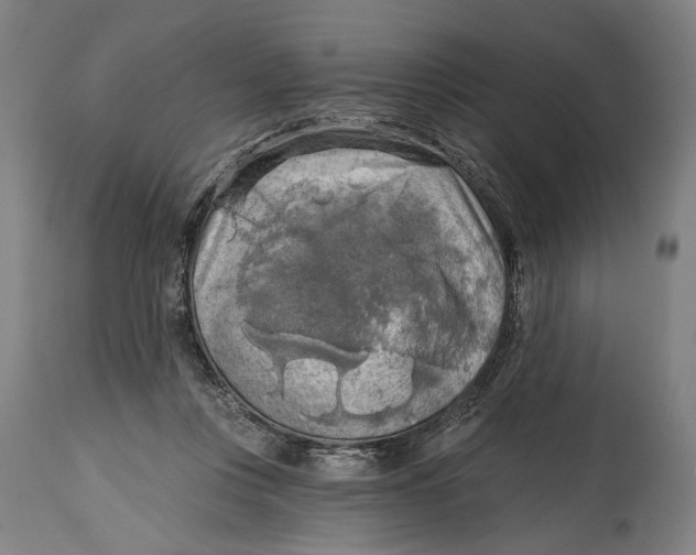 X0000114650359200911101326