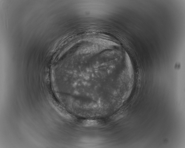 X0000114650361200911101326