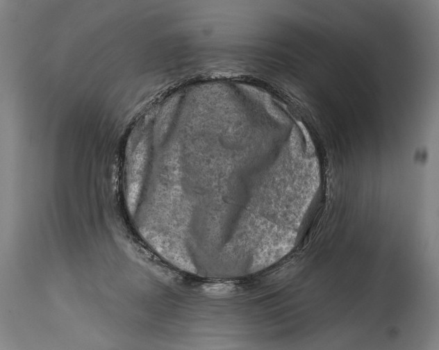 X0000114650362200911101326